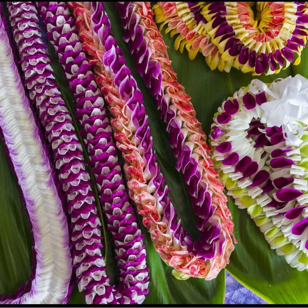 🌈LIVE SHOW🌺ALOHA🌺#NativeHawaiian - Picture 10 of 14